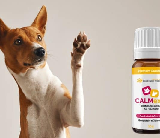 Calmexin im Expertencheck ᐅ Eine kritische Betrachtung… calmexin