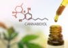 Cannabidiol (CBD) – Wirkung, bisherige Studienlage und aktuelle Gesetzeslage cannabidiol cbd