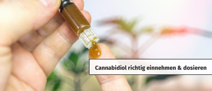 cannabidiol cbd einnahme dosierung anwendung