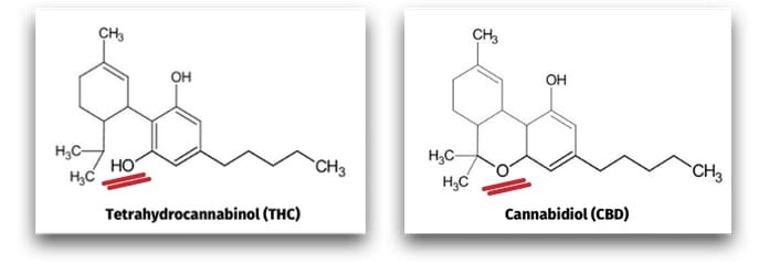 cannabidiol cbd tetrahydrocannabinol thc strukturformel