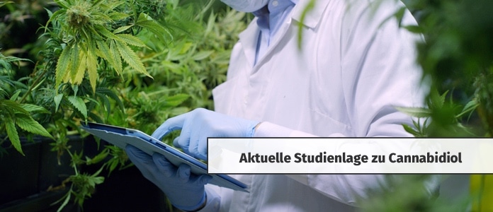 cannabidiol cbd studie wissenschaft