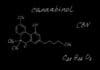 Cannabinol (CBN) – Wofür ist es gut und wie wirkt es?