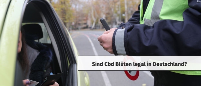 cbd blüten legal