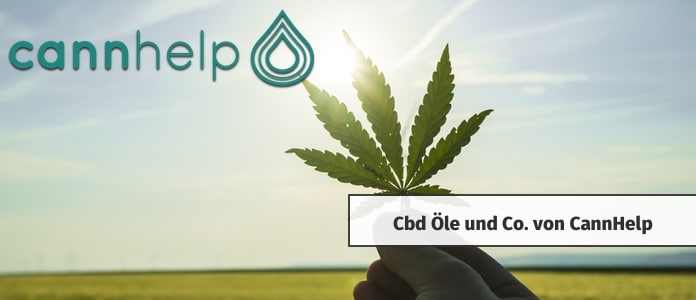 cannhelp cbd öl hanf