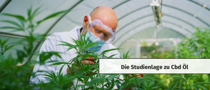 cbd öl wissenschaft forschung studien