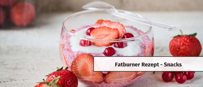 fatburner rezepte snacks