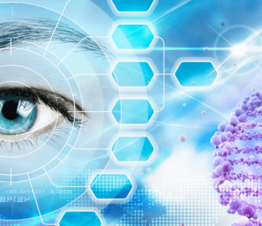 Umweltfaktoren und oxidativer Stress – wie Antioxidantien schützen